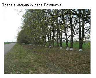 Життя   села - Лозоватка