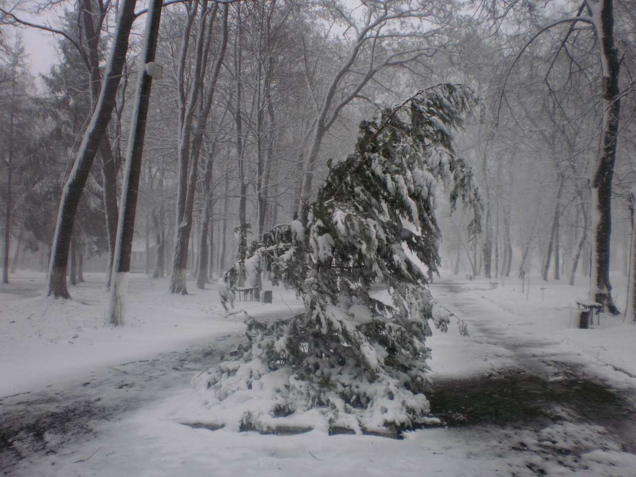 Трішки зими - Глибока