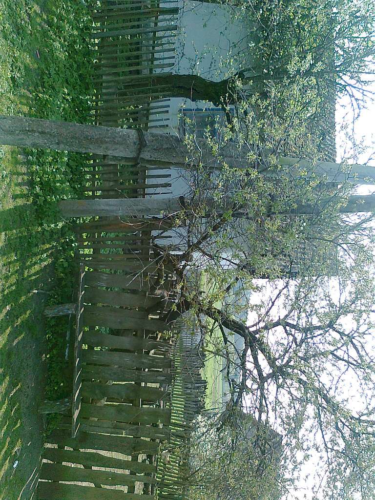 ТАК - Долоччя