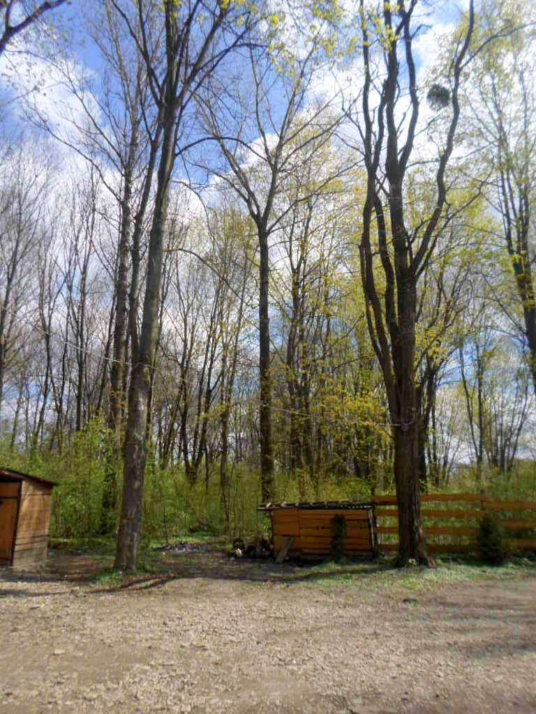 Парк - Гніздичів