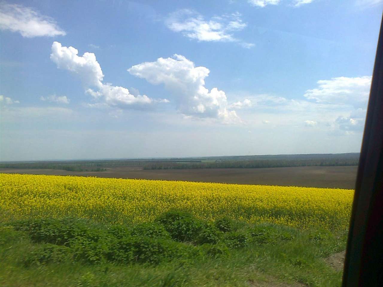 Шпола-географічний центр України - Шпола