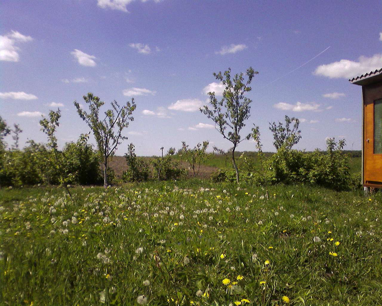 улюблений куток - Залужани