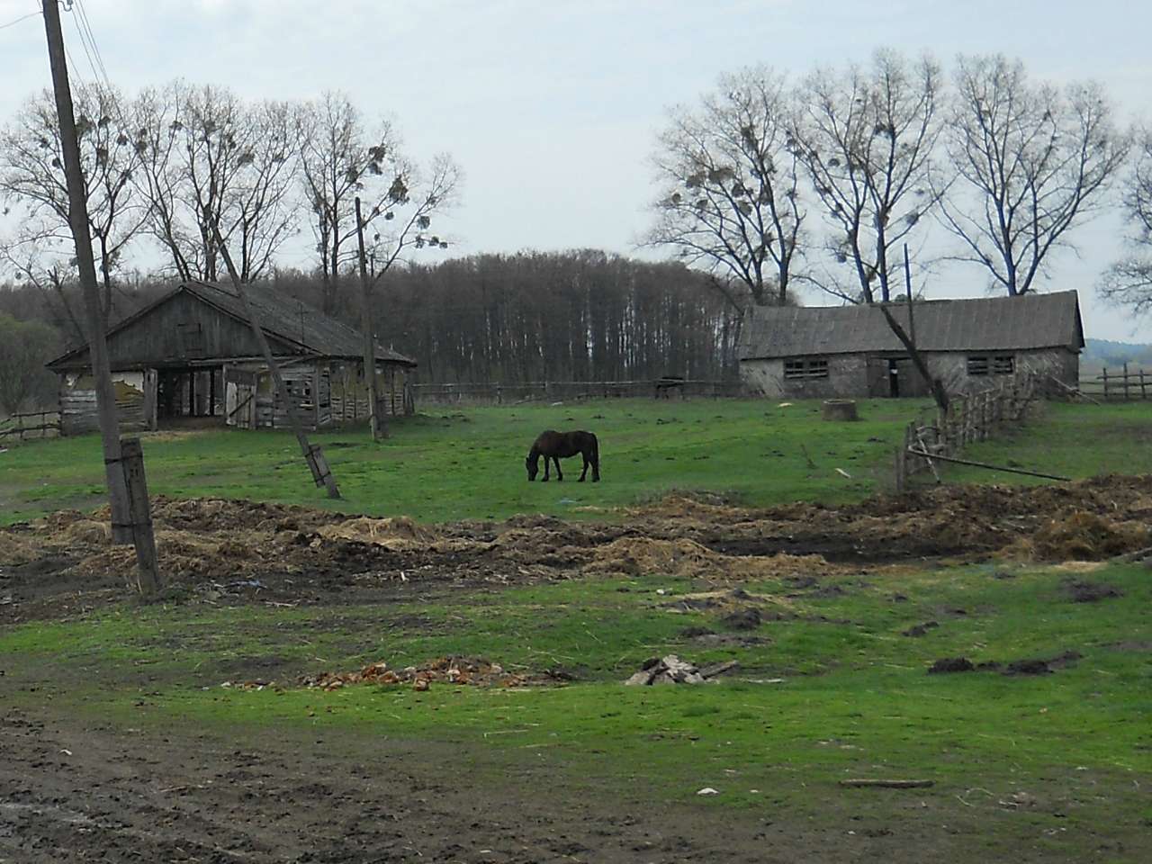 ТАК - Долочье