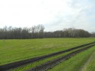 Привілля з panoramio.com