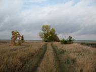 Шевелівка - Останні фото