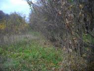 Никитовка - Последние фото