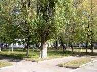 Гончарівське з panoramio.com