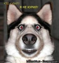 Зборів з panoramio.com