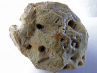 Лебіддя з panoramio.com