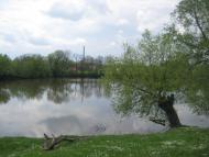 Олеша з panoramio.com