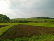 Тисмениця з panoramio.com