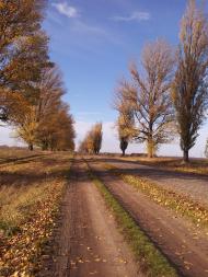 Лозова з panoramio.com