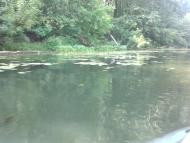 Куданівка з panoramio.com