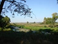 Новосілки з panoramio.com