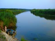 Сокіл з panoramio.com