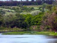 Слов'яносербськ з panoramio.com