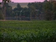 Олексіївка з panoramio.com