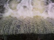 Турійськ з panoramio.com