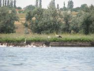 Кірове з panoramio.com