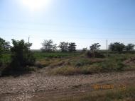 Тимашівка з panoramio.com