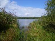 Малечковичі з panoramio.com