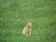 Новий Буг - Останні фото