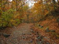 Виноградний з panoramio.com