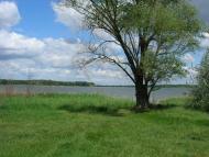 Веселе з panoramio.com