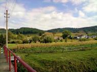 Нараїв з panoramio.com