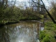 Новгородське з panoramio.com