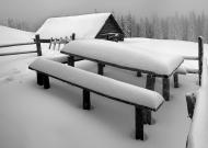 Вороненко з panoramio.com