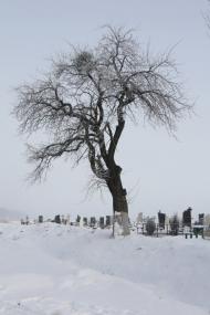 Вапнярка з panoramio.com