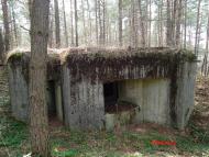 Дев'ятир з panoramio.com