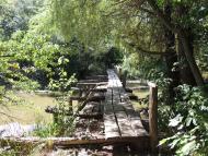 Рогізна - Останні фото