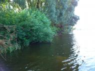 Миси з panoramio.com