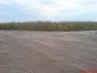 Шершенівка з panoramio.com