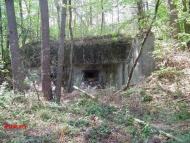 Дев'ятир з panoramio.com