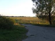 Grebelky - Latest photos