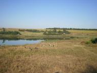 Нововасилівка з panoramio.com