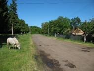 Бандурове з panoramio.com