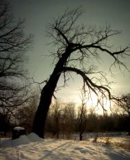 Слов'яносербськ з panoramio.com