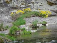 Будище з panoramio.com