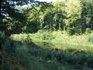 Будище з panoramio.com