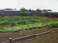 Віліне з panoramio.com