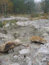 Теренці з panoramio.com