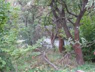 Панасівка з panoramio.com