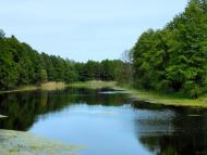 Остапівка з panoramio.com