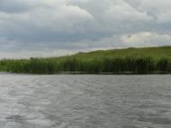 Сокіл з panoramio.com