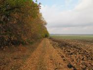 Шевелівка - Останні фото