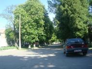 Черепова з panoramio.com